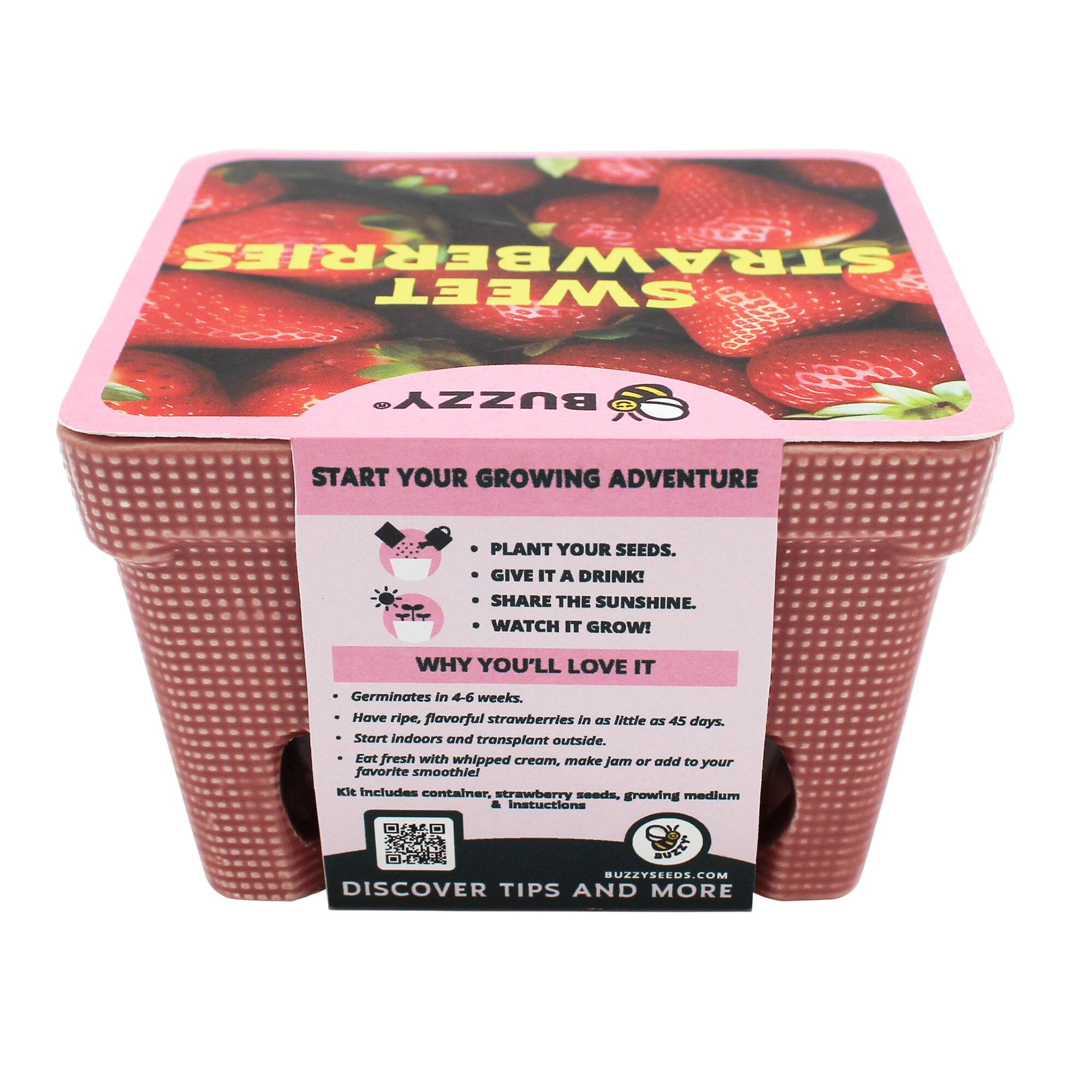 Buzzy® Sweet Strawberry Ceramic Basket Complete Grow Kit